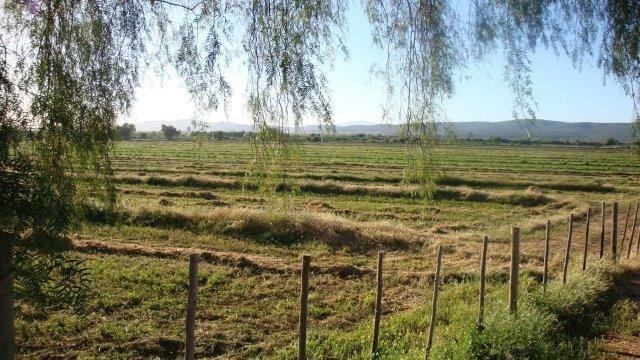 0 Bedroom Property for Sale in Oudtshoorn Rural Western Cape